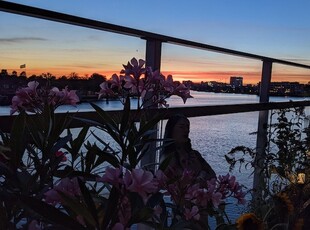 Appartement in Zaanstad met 3 kamers