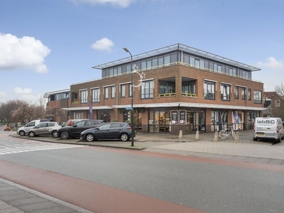 Buitendams in Hardinxveld-Giessendam (160m2)