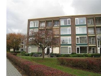 Orchislaan in Arnhem (68m2)