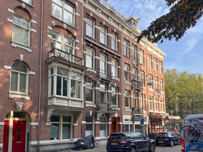 Sarphatipark in Amsterdam (50m2)