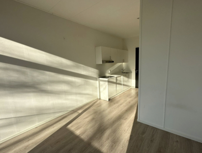 Studio te huur Flintstraat, Emmen