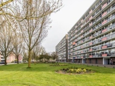 Trekvogelweg in Amersfoort (60m2)