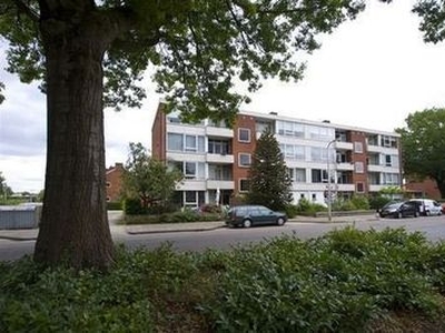 Zweringweg in Enschede (75m2)