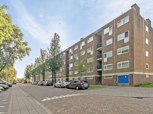 Linnaeusstraat 176