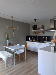 Appartement te huur Vissteeg, Arnhem