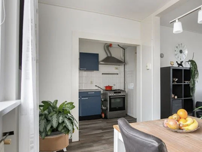 Woning te huur Liaukemastraat, Sneek