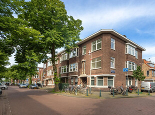 Linnaeusstraat 241