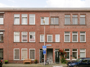 Meidoornstraat 59