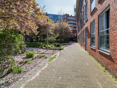 Appartement Prins Frederikplein in Rotterdam