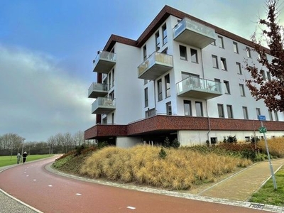 Appartement Tolsingel in Zevenaar