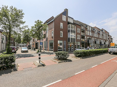 Puteanusstraat 111