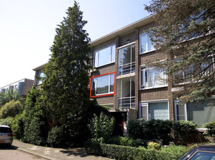 Hanedoesstraat 24