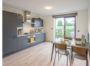 Huur 3 slaapkamer appartement van 11 m² in The Hague