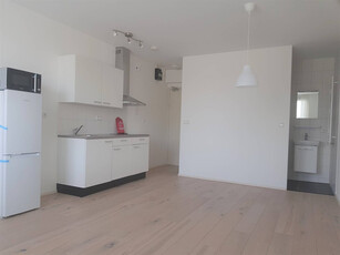 Appartement te huur Griegstraat, Delft