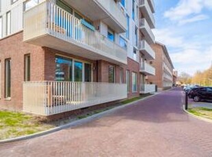 Portiekwoning, appartement te huur in Leiden