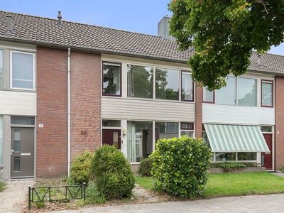 Steenbokstraat 10