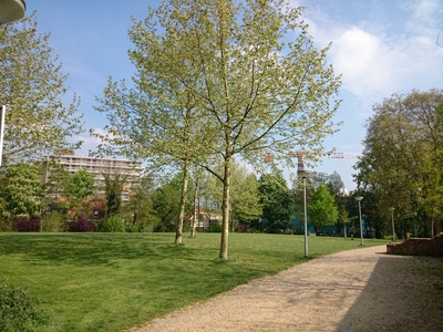 Appartement te huur Molenstraat, Wageningen