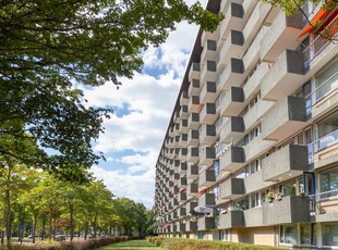 Appartement in Rijswijk met 2 kamers