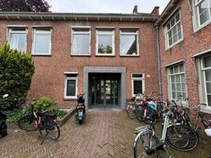 Appartement te huur in Leiden