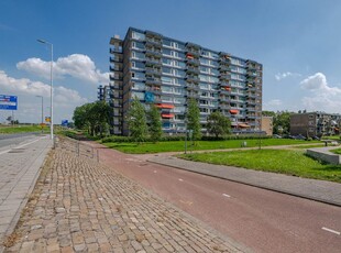 Jan Dammassestraat 8, Rotterdam