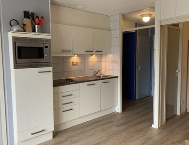 Appartement te huur Oude Deldenerweg, Enschede