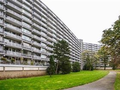 Appartement in Schiedam met 5 kamers