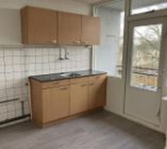 Appartement te huur Steenbokstraat, Hoorn Nh