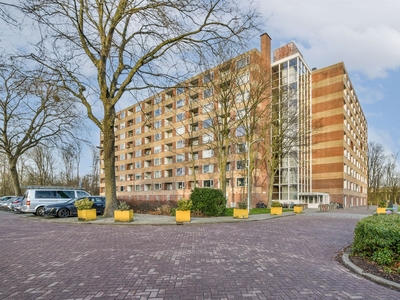 Fluitekruidweg 239