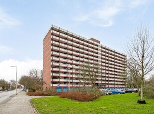 H. Cleyndertweg 241, Amsterdam