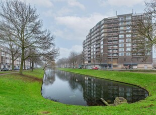 Lange Hilleweg 310, Rotterdam