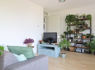 Appartement te huur Heemstedelaan, Utrecht