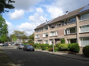 Eindhoven - Heuvelakker