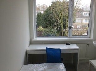 Kamer te huur Dr Cuyperslaan, Eindhoven