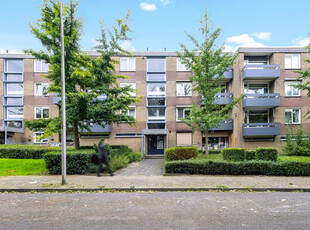 Palmstraat 54