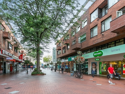 Appartement Hermanus Boexstraat in Eindhoven