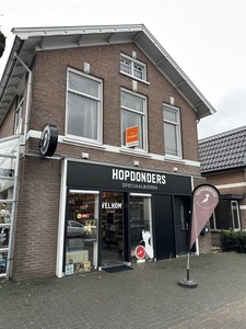 Koninginnelaan in Apeldoorn (80m2)