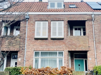 Roodborststraat 13