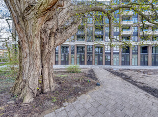 Appartement in Amsterdam met 3 kamers